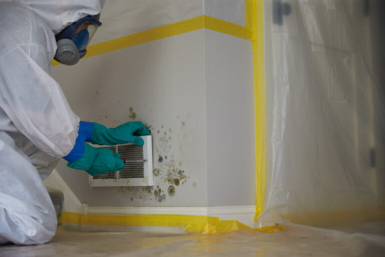 Read more about the article Mold Remediation – What You Need to Know