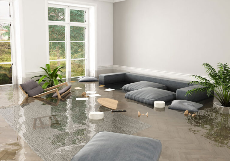 Read more about the article How to Deal With a Flooded Basement