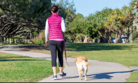 Walk Your Way to a Healthy Life: Why Is Walking Good for Health