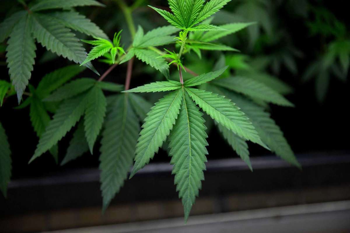 medical-marijuana-in-ohio