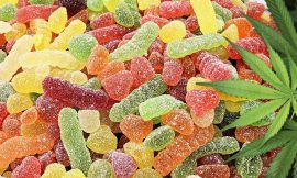 Uses And Benefits Of CBD Edibles/Gummies