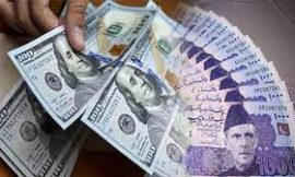 1 USD to PKR: Latest Exchange Rate and Trends