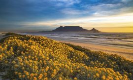 South Africa’s Hidden Gems: Off-the-Beaten-Path Destinations for Travelers