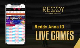 Master Evolution Stock Market Betting on Reddy Anna with Expert Tips