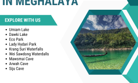 Discover the Best of Meghalaya: Top Things to Do for an Unforgettable Experience