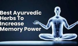 Best Ayurvedic Herbs To Increase Memory Power