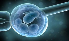 Human Embryonic Stem Cell Market Size, Share, Trends, Report 2032