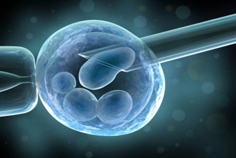 Read more about the article Human Embryonic Stem Cell Market Size, Share, Trends, Report 2032