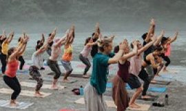 Complete Your Confirmation: 200-Hour Yoga Educator Preparing in Rishikesh