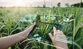 United States AI in Agriculture Market, Opportunities and Forecast, 2017-2031F