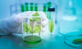 Plant Biochemical Analysis: Unveiling the Secrets of Nature’s Chemistry