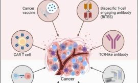 The Future of Cancer Care: Innovations in Vaccine Development