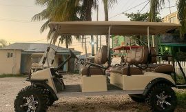 Discover the Versatility of 6-seater Golf Cart Rentals