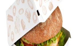 The Benefits of burger boxes for Retail Packaging