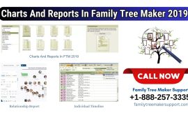 Charts And Reports In Family Tree Maker 2019 For Windows