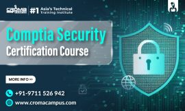 CompTIA Security Exam: Everything You Need to Know