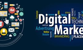 Elevate Your Business with Expert Digital Marketing Services