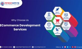 Boost Your Business with Amigoways Expert eCommerce Development Services