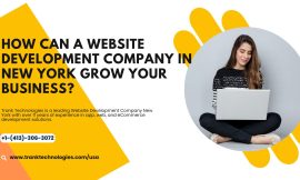 How Can A Website Development Company In New York Grow Your Business?