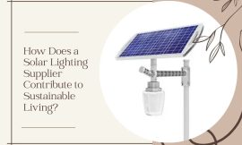 How Does a Solar Lighting Supplier Contribute to Sustainable Living?