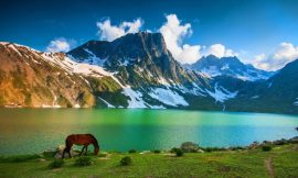 Top Trekking Destinations for Wildlife Enthusiasts in India and Nepal