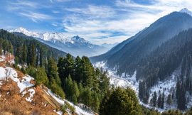 Discover the Best Experiences in Kashmir During Summer