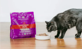 A Complete Guide to Choosing the Right Kitten Food