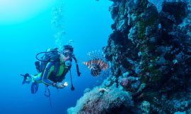 Diving in Mallorca: Exploring Underwater Caves with Scubanautic