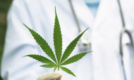 Medical Cannabis Market Size, Share, Trends, Reports 2024-2032