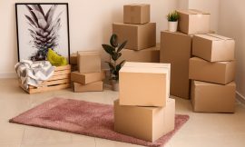 Why You Need Professional House Movers