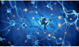 Unlocking the Role of Astrocytes in CNS Inflammation: A Must-Attend Webinar