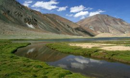 Ladakh in July: Monsoon Magic and Lush Green Landscapes