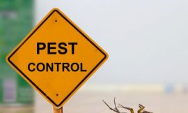 Professional Pest Control Arlington, TX | Home & Commercial Solutions