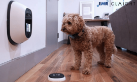 Pet Tech Market Analysis and Forecast 2024-2032: Trends, Growth Drivers, and Competitive Landscape