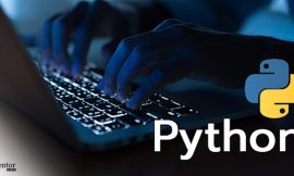 What is Python programming and its importance?