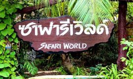 Exploring Safari World: Thailand’s Ultimate Wildlife Adventure