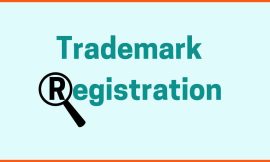 International Trademark Protection for LLCs