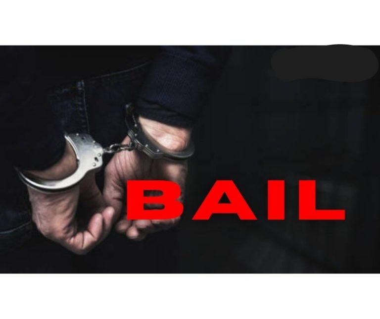 Read more about the article Bail in the Supreme Court: Recent Case Laws and Legal Precedents