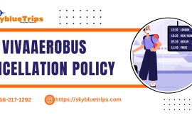 VivaAerobus Flight Cancellation Policy