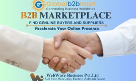 Best B2B Portal in India: A Complete Guide to Top Platforms and Services