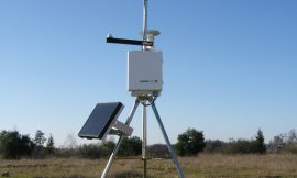 What are the latest technologies and methodologies being used to improve the accuracy and accessibility of weather data in real-time monitoring systems?