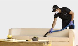 The Ultimate Guide to Sofa Cleaning Services in Chandigarh