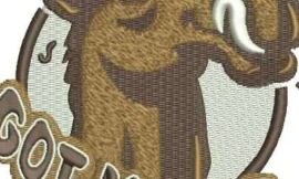 Embroidery Digitizing Service: Convert Your Photos into Stunning Embroidery Designs