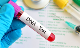 Non-Invasive Paternity Testing: A Gentle Approach to Confirming Family Ties