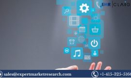 Digital Lending Market Forecast 2024-2032: Trends, Growth Drivers, and Key Insights