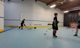 The Essence of Hockey Team Training