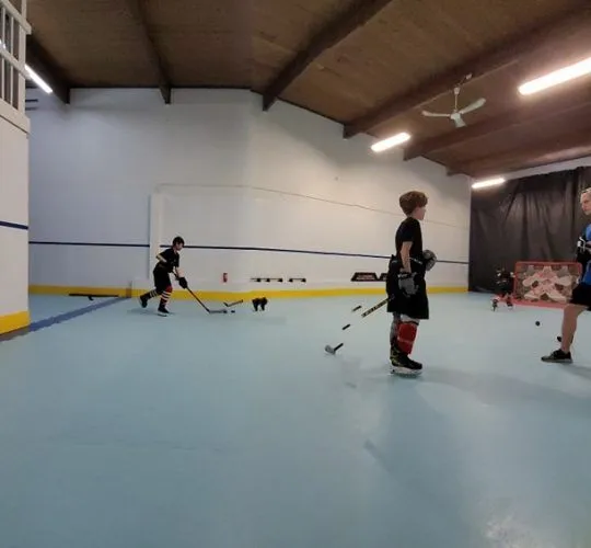 Read more about the article The Essence of Hockey Team Training