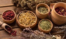 Discover How African Herbs Can Support a Healthier Lifestyle and Wellness