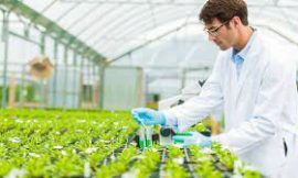 Global Agricultural Biologicals Market Growth: Size, Share, Industry Analysis, Key Benefits, Trends, and Future Outlook to 2032