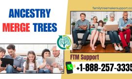 Ancestry Merge trees